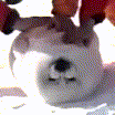 000000000
