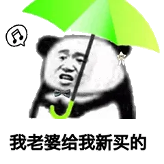 金馆长熊猫00172-我老婆给我新买的