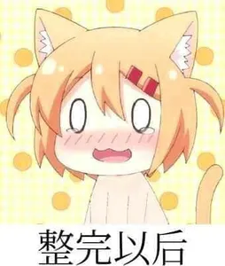 猫咪日常00009-整完以后