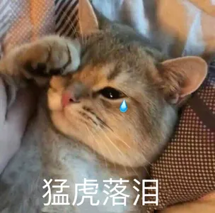 是喵星人啦00120-猛虎落泪猫