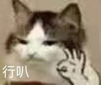 是喵星人啦00100-行叭猫