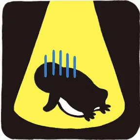 Penguin00123