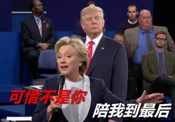 特朗普00021-可惜不是你陪我到最后