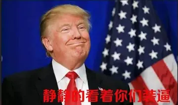 特朗普00029-静静的看你们装逼