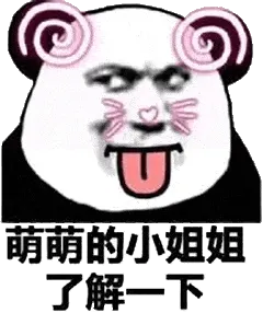 金馆长熊猫00101-萌萌的小姐姐了解一下