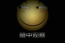 滑稽大佬00064-暗中观察