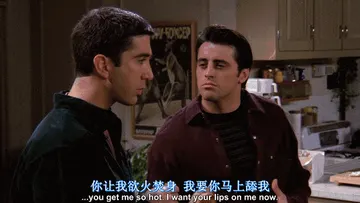 老友记00021-你让我欲火焚身