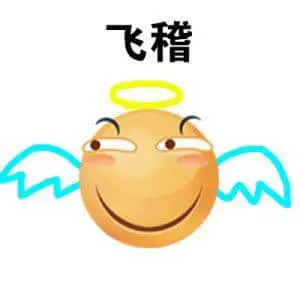 滑稽大佬00041-飞稽