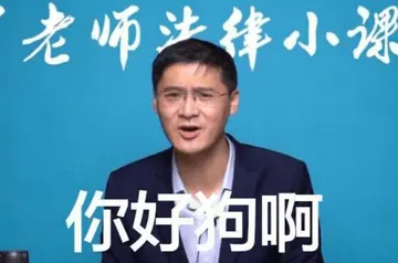 罗翔00022-你好狗啊