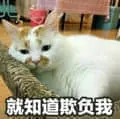 是喵星人啦00045-就知道欺负我猫