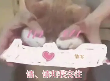 是喵星人啦00116-请和我交往猫