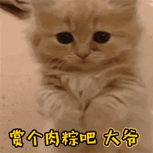 是喵星人啦00076-赏个肉粽吧大爷猫