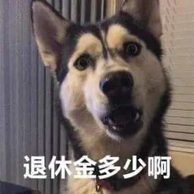 中国春节00052-退休金多少啊