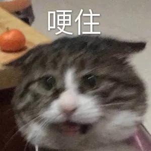 是喵星人啦00173-哽住猫