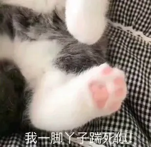 是喵星人啦00005-我一脚丫子踹死你猫
