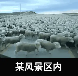 国庆节00032-某风景区内
