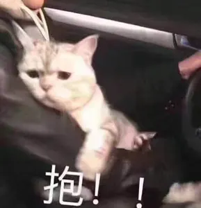 是喵星人啦00161-抱猫
