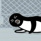 Penguin00112
