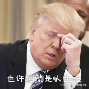 特朗普00033-也许这就是人生吧