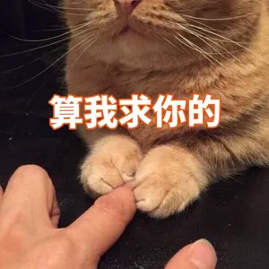 是喵星人啦00106-算我求你的猫