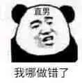 金馆长熊猫00053-我哪做错了