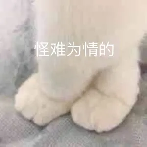 是喵星人啦00123-怪难为情的猫