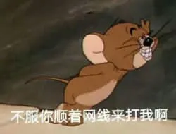 猫和老鼠00127-不服你顺着网线来打我啊