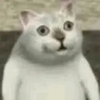 000000060