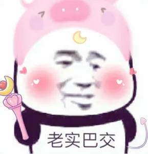 金馆长熊猫00236-老实巴交