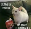 是喵星人啦00094-我跟你讲我很躁你不要以为一杯奶我就没事了猫