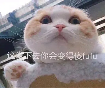 是喵星人啦00148-这拳下去你会变得傻乎乎猫