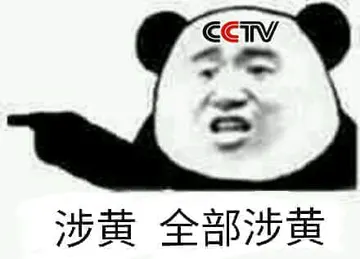 金馆长熊猫00243-涉黄全部涉黄