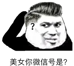 金馆长熊猫00201-美女你微信号是