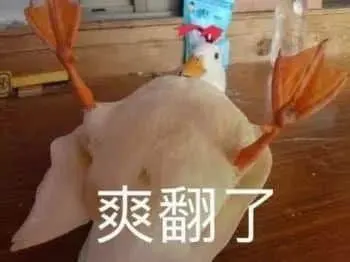 开心鸭00006-爽翻了