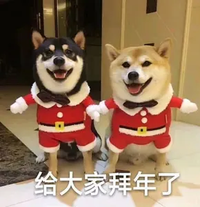 中国春节00021-两只狗给大家拜年了