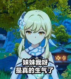 原神00014-妹妹我呀是真的生气了