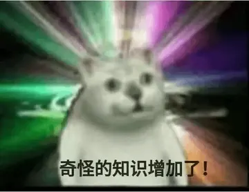 奇妙猫00013-奇怪的知识增加了