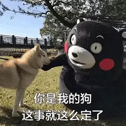 熊本熊00026-你是我的狗-这是就这么定了