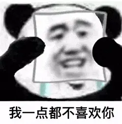 金馆长熊猫00140-我一点都不喜欢你