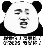 金馆长熊猫00133-我爱你我爱你听到没我爱你