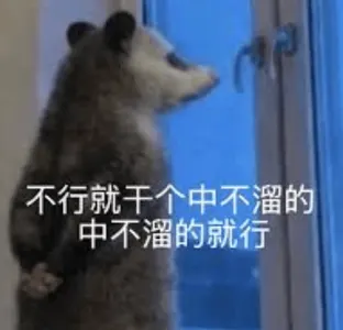负鼠00014-不行就干个中不溜的中不溜的就行