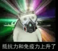 奇妙猫00015-抵抗力和免疫力上升了-防毒面具