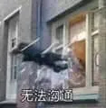webwxgetmsgimg-39