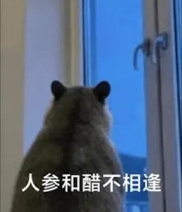 负鼠00016-人参和醋不相逢