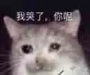是喵星人啦00012-我哭了你呢猫
