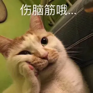 是喵星人啦00133-伤脑筋哦猫