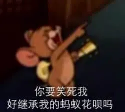 猫和老鼠00137-你要笑死我好继承我的蚂蚁花呗
