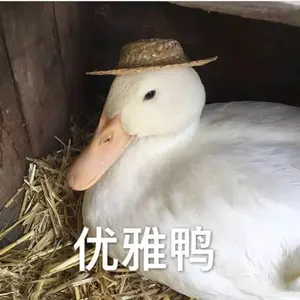 开心鸭00023-优雅鸭