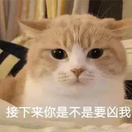 是喵星人啦00085-接下来你是不是要凶我猫