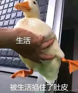 开心鸭00035-被生活掐住了肚皮